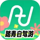 大师兄影视
